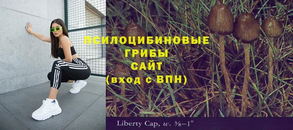 соль курить ск Карпинск