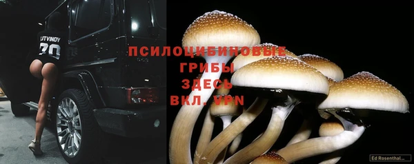 соль курить ск Карпинск