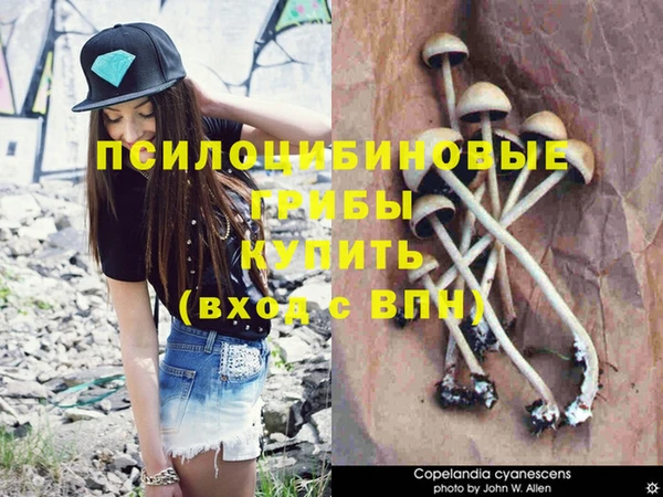 соль курить ск Карпинск