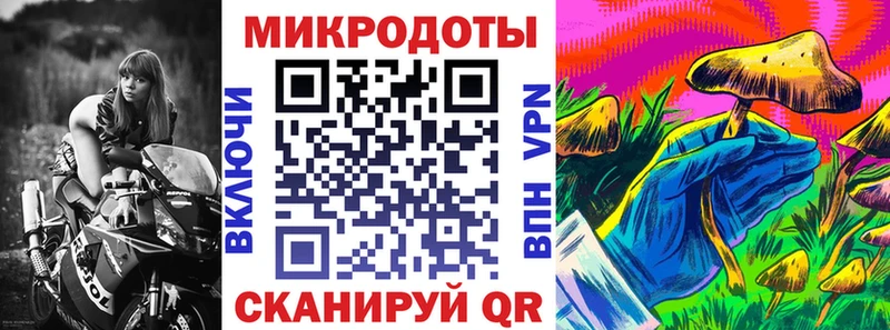 Псилоцибиновые грибы мицелий  Купить закладки  Белинский 